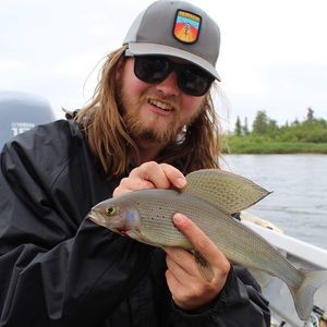 Meet your Posher, Kyle